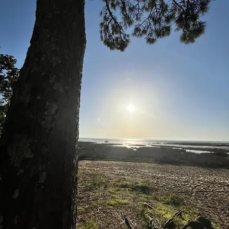On Est Trop Bien Ici * Lège-Cap-Ferret