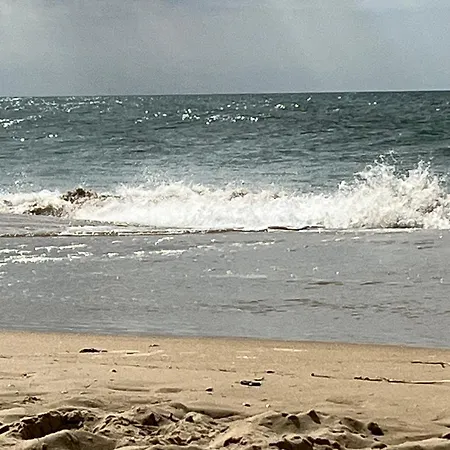 On Est Trop Bien Ici * Lege-Cap-Ferret